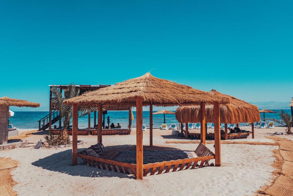 Paradise Sweir photo