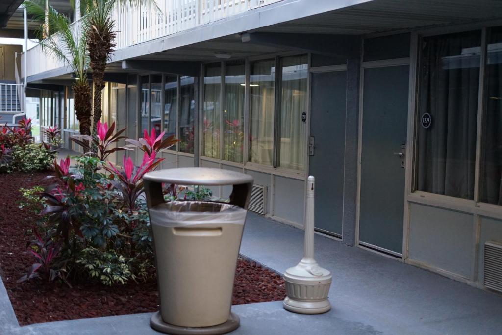 Celebration Suites — Hotel building in Kissimmee, Florida