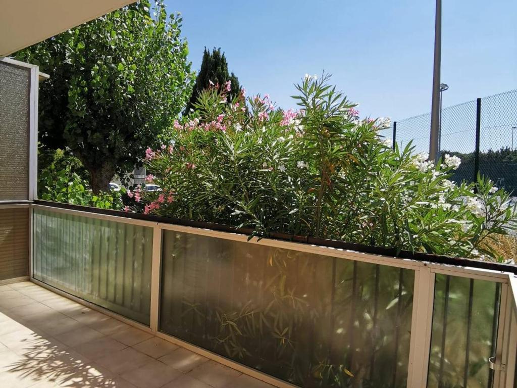 Studio Rénové avec Grande Terrasse et Wifi à Balaruc-les-Bains - FR-1-553-230 - 3