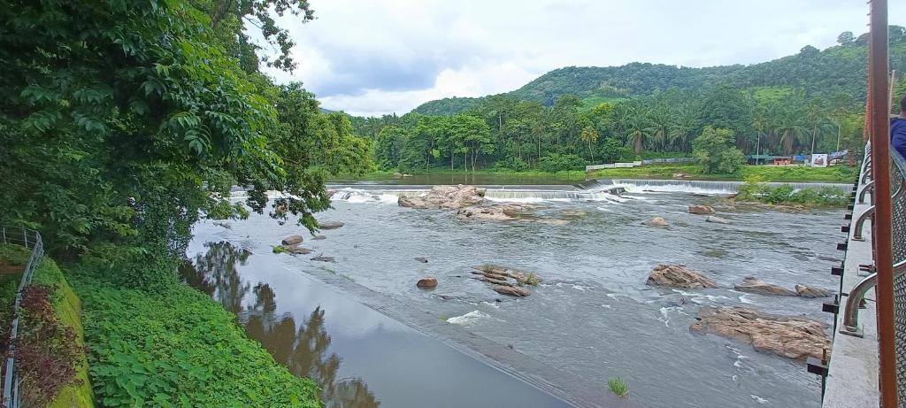 Jewel Homes Thattekad - For families and Thattekkad Birding photo