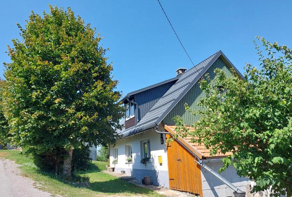 Zeleni brig, Mrkopalj