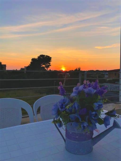 Incantevole attico con grande terrazza, Anzio