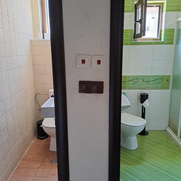 Ivory Tower Hostel photo