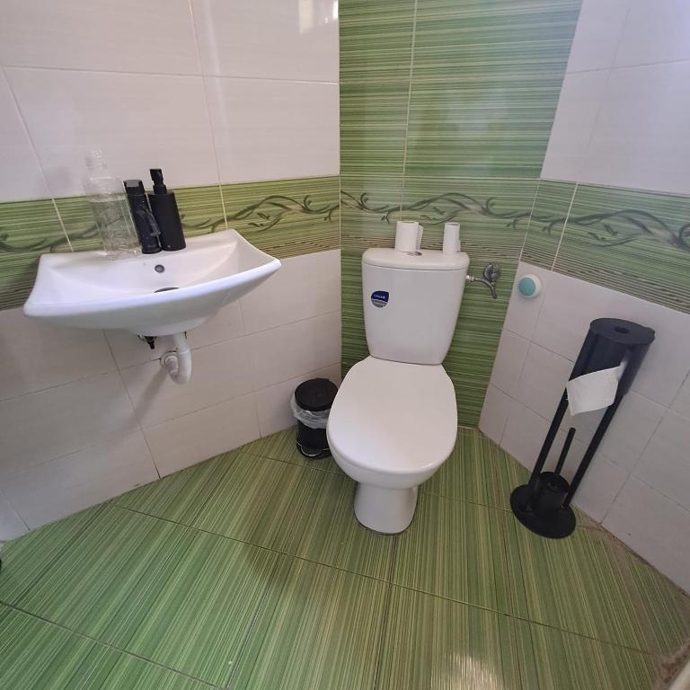 Ivory Tower Hostel photo