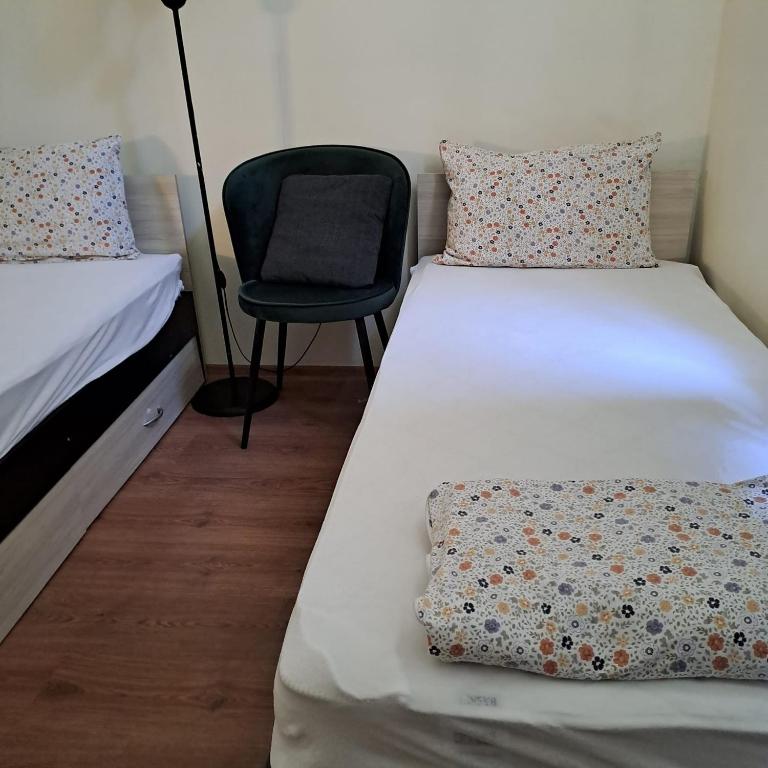 Ivory Tower Hostel photo