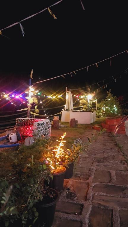 Hideout photo