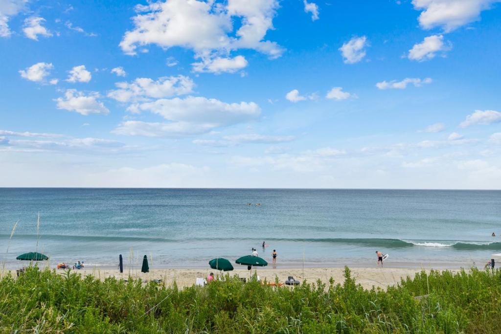 The Wildye at Ships Watch, Duck