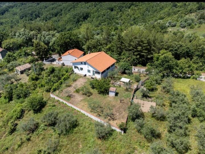 Anthony House 전경