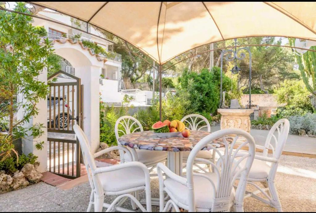 Casa cactus, Can Picafort