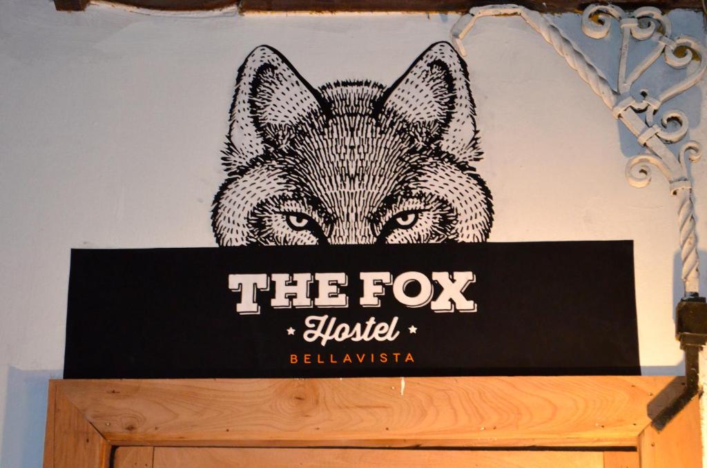 The Fox Hostel photo