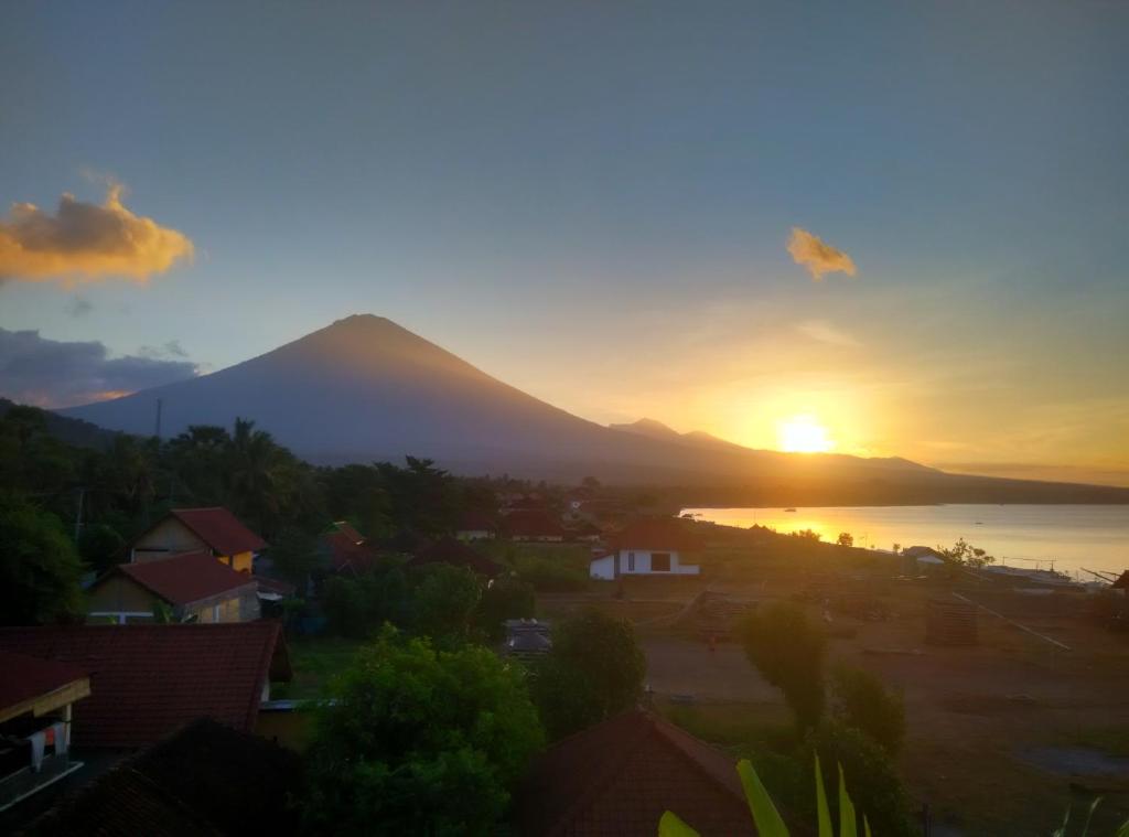 Sony Home Stay photo