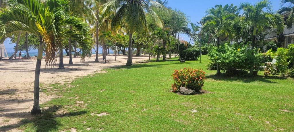 Studio la Verdure, Le Moule