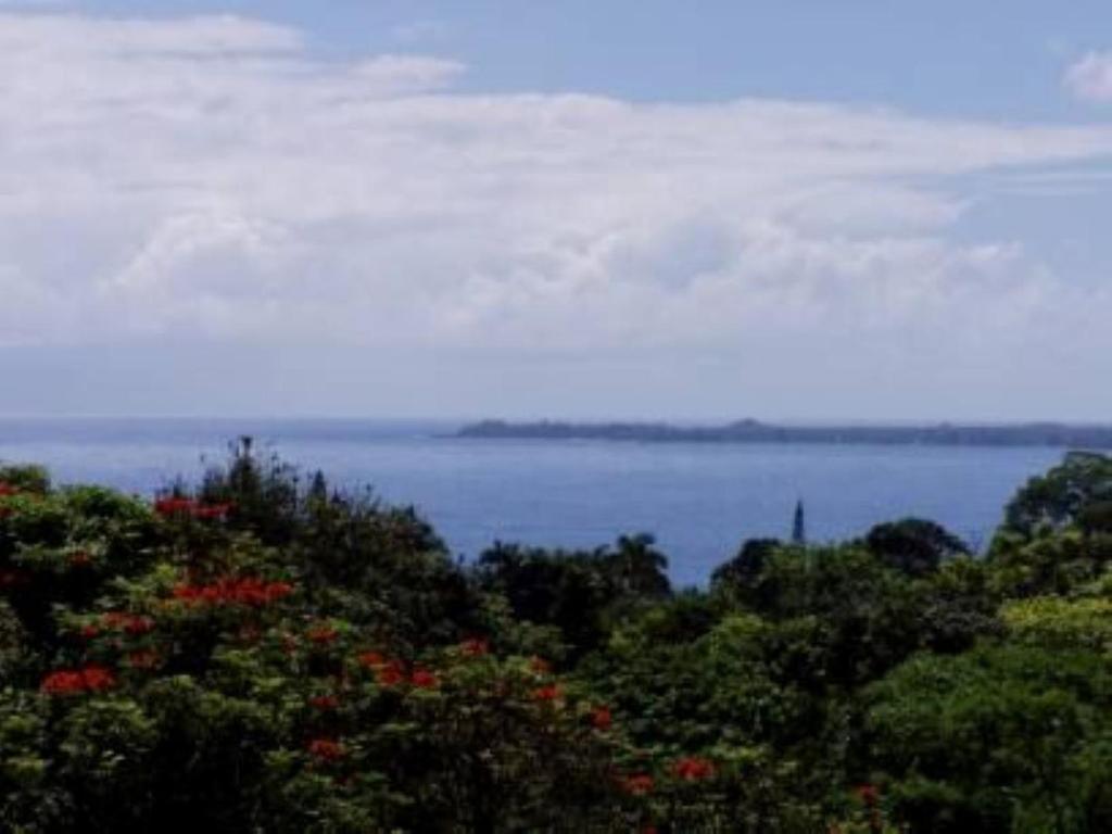 Island Goode's - Luxury Adult Only Accommodation near Hilo photo