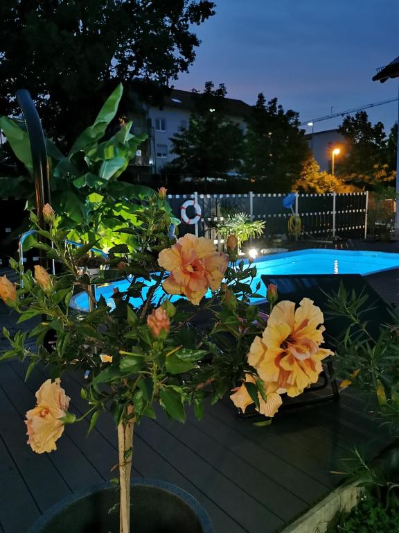 Apartmenthaus Wertheim photo