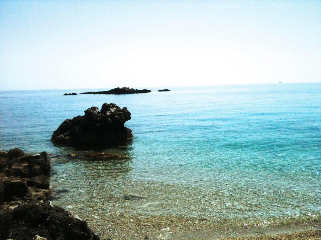Surrounding environment