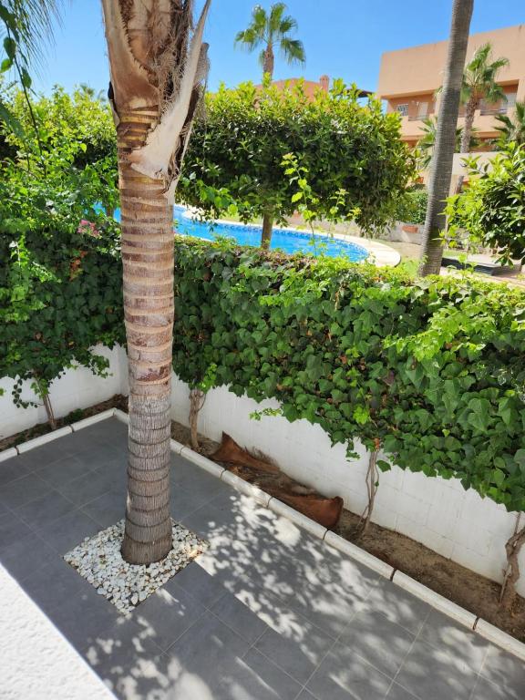 ¡Bajo extraordinario con vistas a la piscina y terraza! - 2