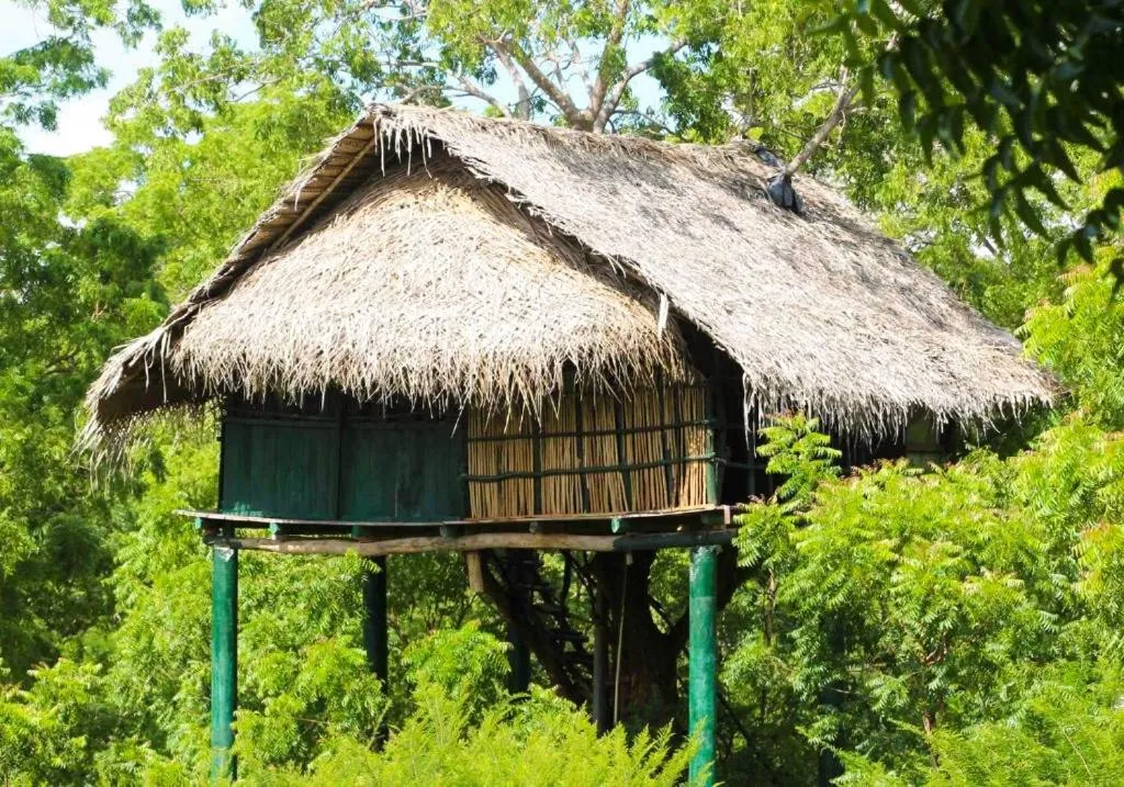 Yala Beddegama Eco，位于卡特勒格默的酒店