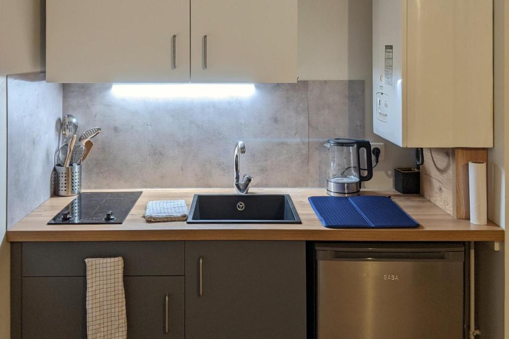 Logement charmant Charpennes - 2