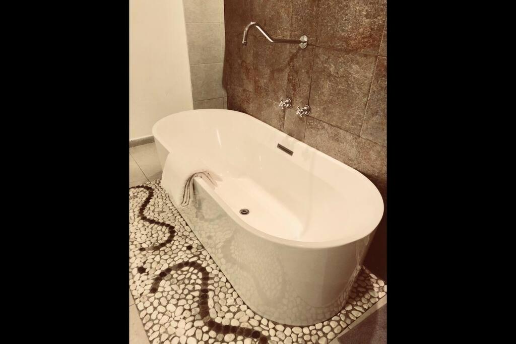 Loft Condesa - 3