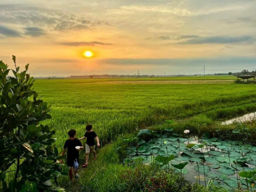 Khu vực xung quanh