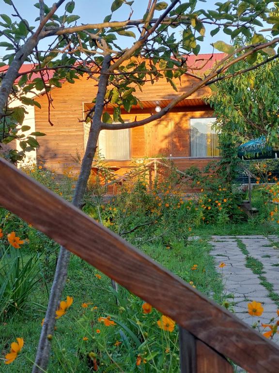 sweet village photo