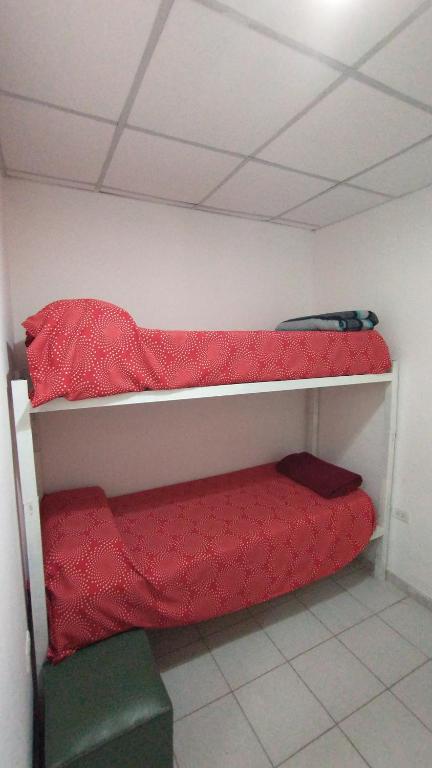 Los Cardones - Ruta40 - 5