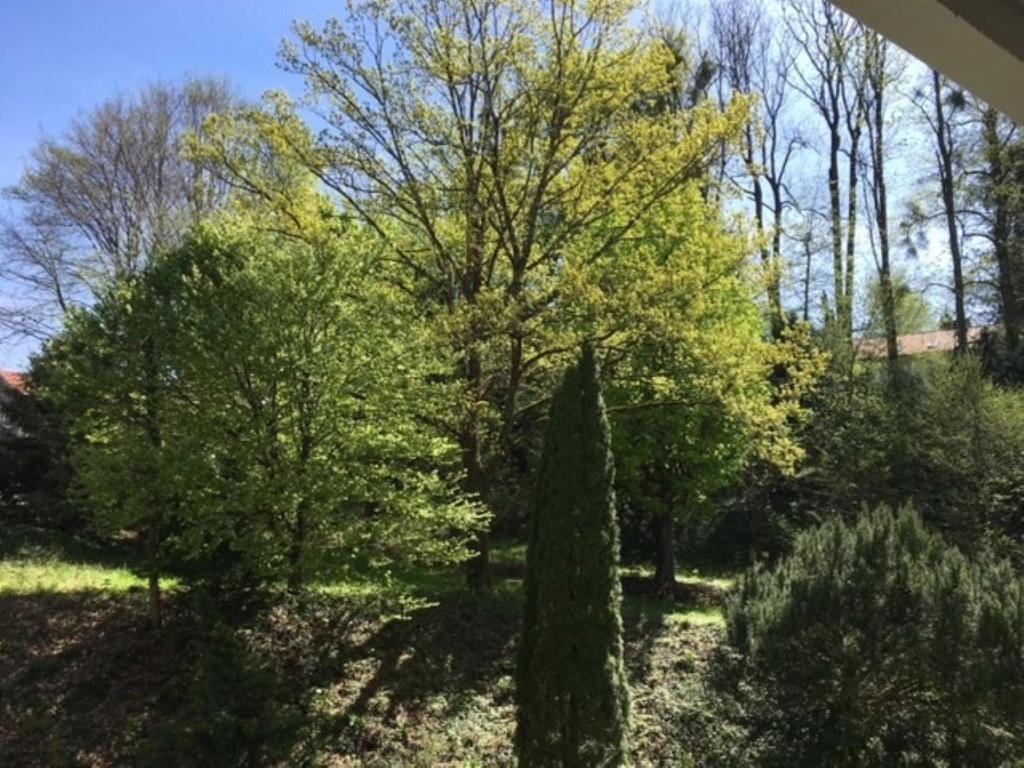 City Appartement - 5