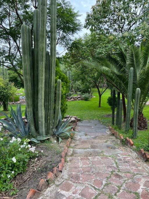 Home in San Miguel de Allende. Casita de La Aldea - 2