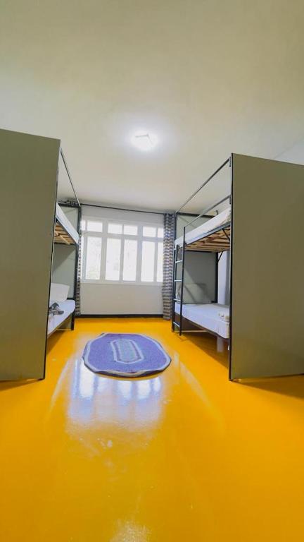 Gallivanters Hostel photo