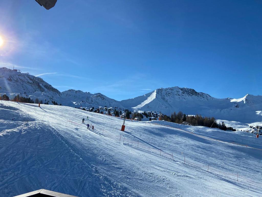 Beau duplex calme, animaux admis, au pied des pistes - FR-1-455-232 - 3