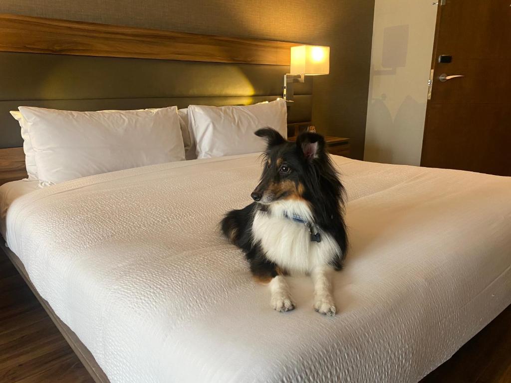 AC Hotel by Marriott Santa Fe - 3