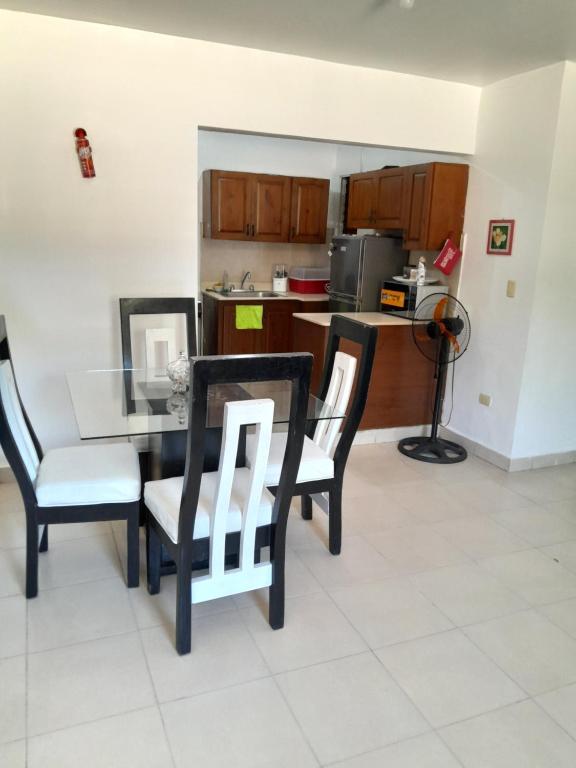 Comodo apartamento en el centro de la ciudad, Santiago de los Caballeros