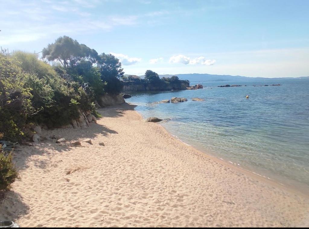 Magnifique T2 ajaccio - 2