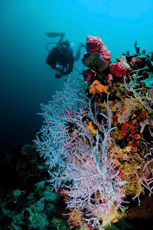 Sports and activities