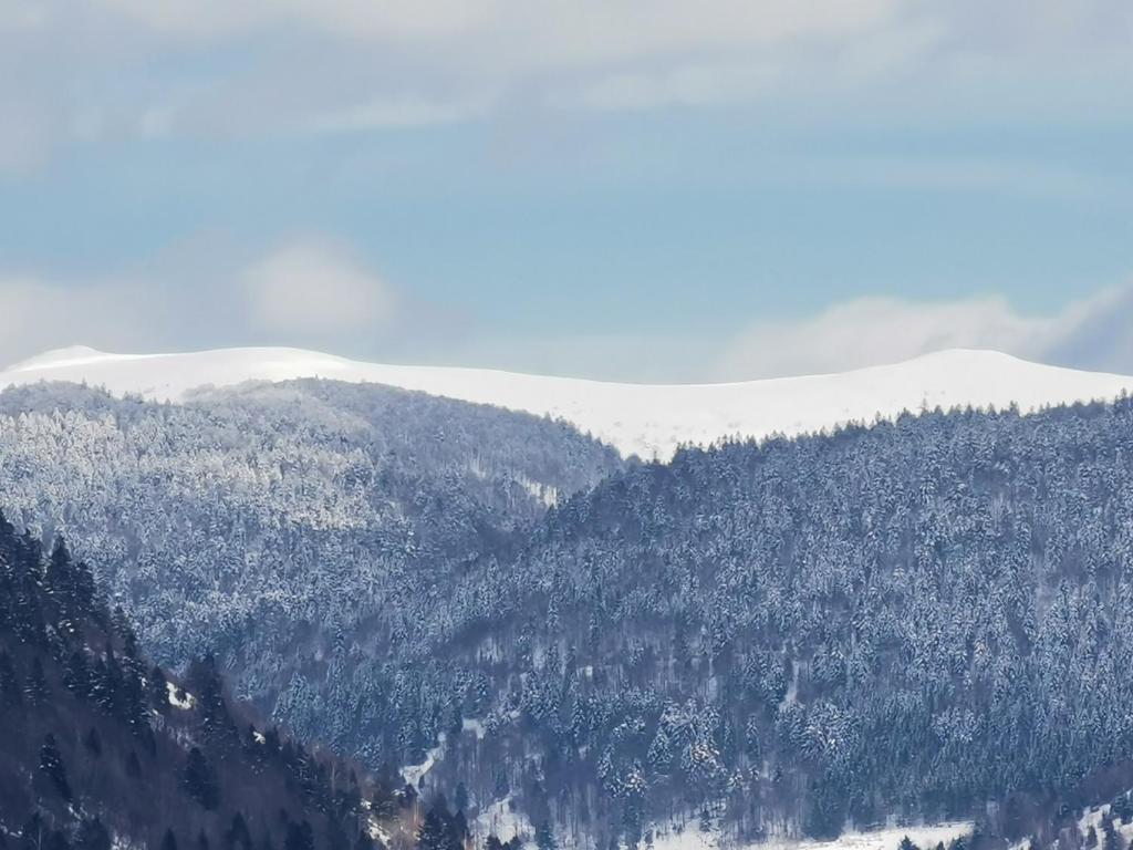 Fenêtre sur les crêtes Vosgiennes - 5