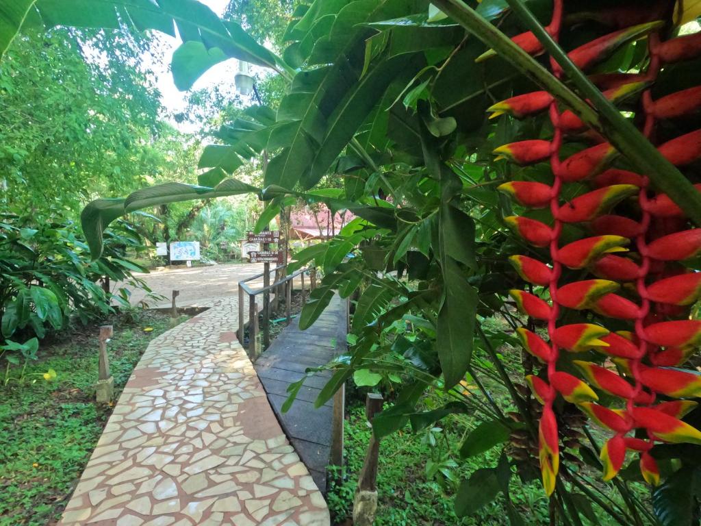 Cabanas Kin Balam Palenque photo
