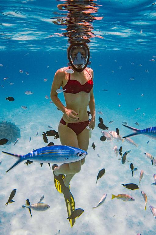 アクティビティ