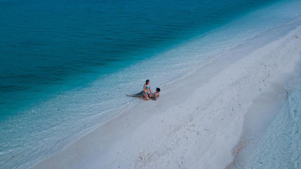 アクティビティ