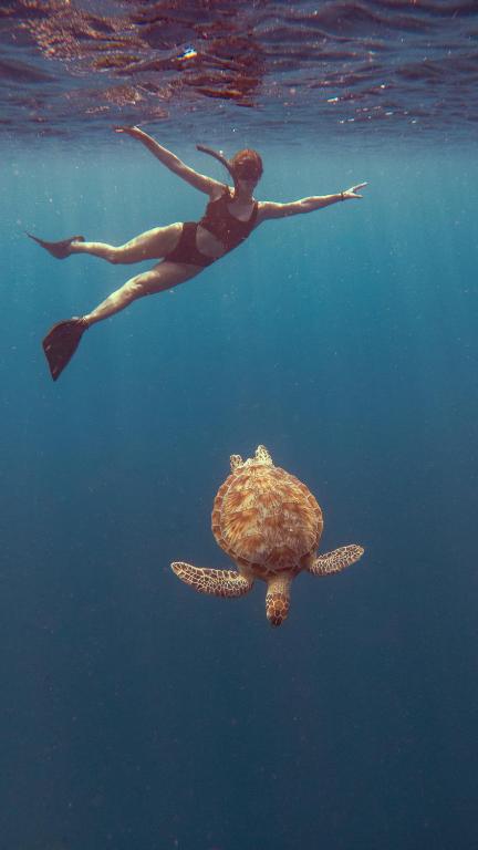 スポーツ/アクティビティ