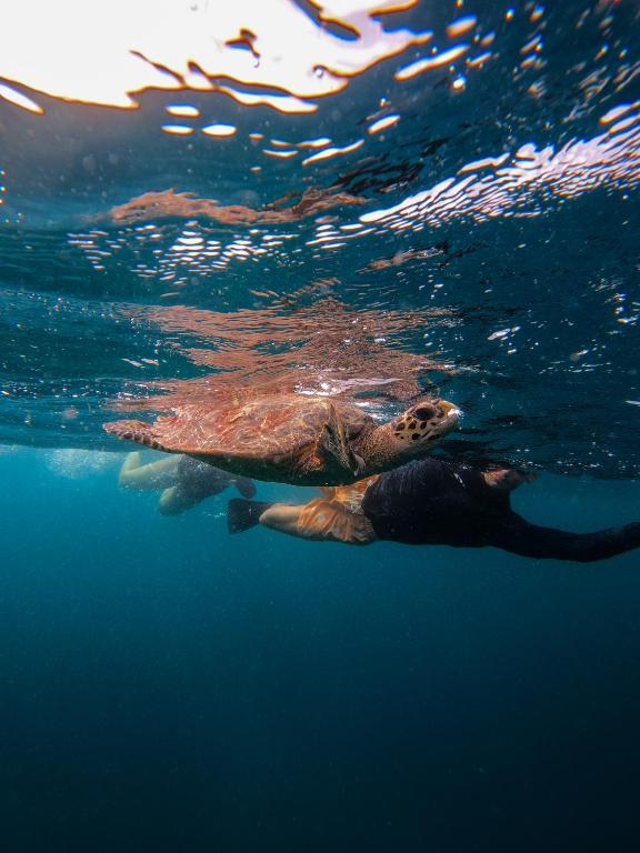 スポーツ/アクティビティ