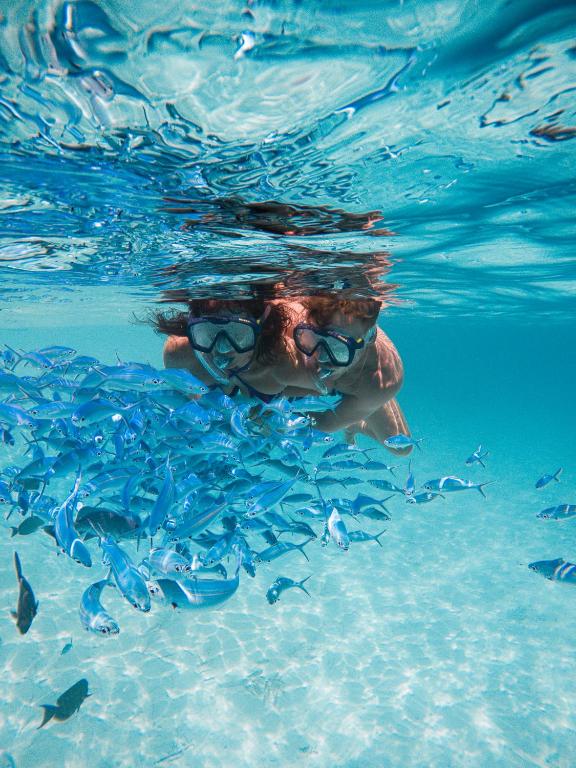 スポーツ/アクティビティ