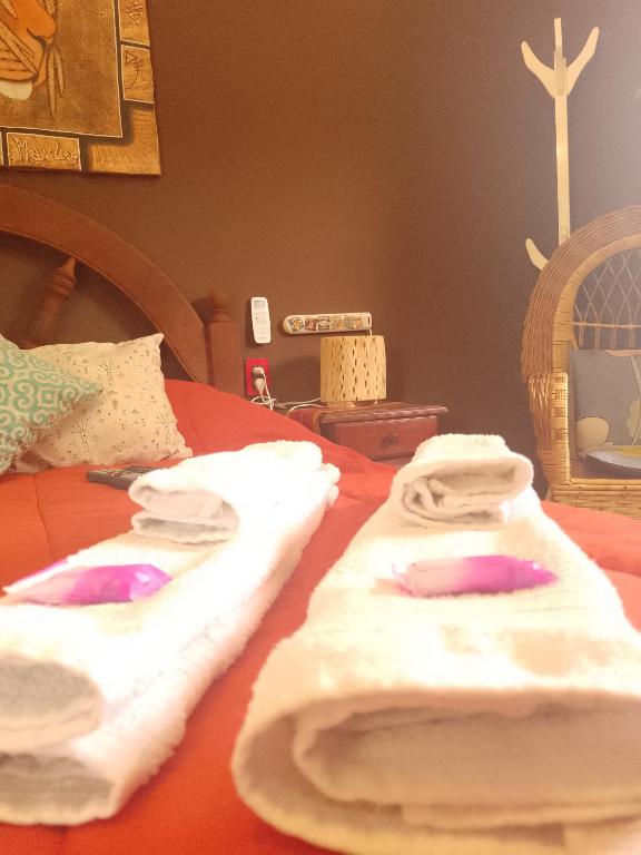 Hospedaje Familiar Raza Mistica - 5