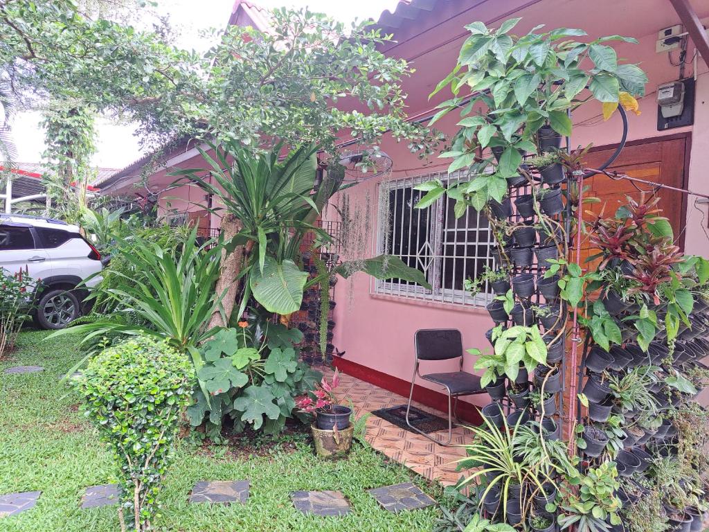 Khuang Na Farmview photo