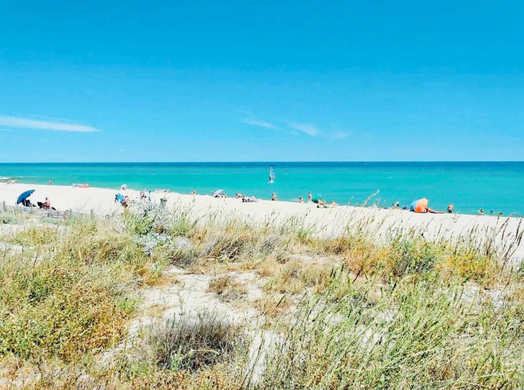 Superbe T2+Mezza en Bord de Mer - 5