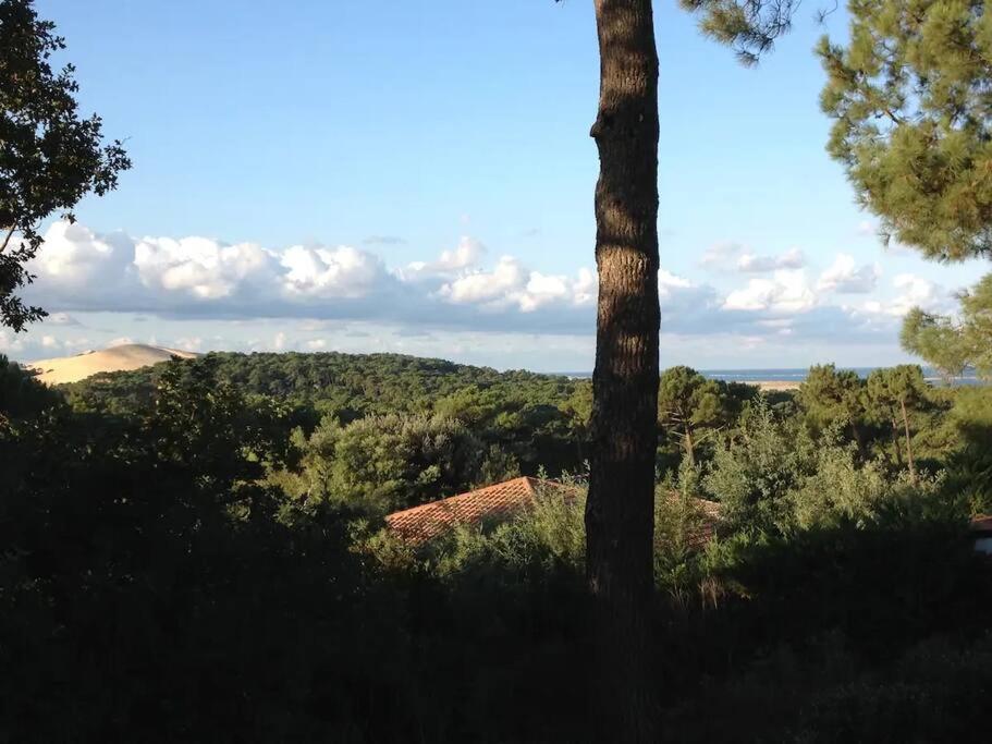 Pyla Villa DE LA DUNE Promo 2026 - 3