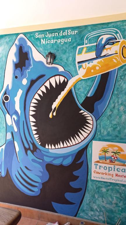 Hostel Tropical and CoWorking photo