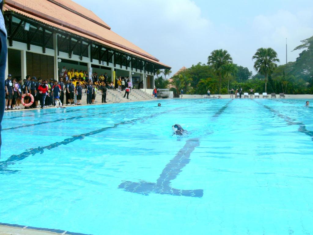 Swimming pool