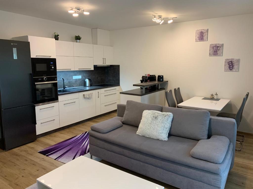 Apartmán s vyhlídkou, Horní Maršov