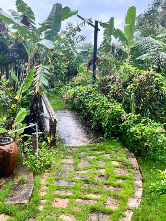 Surrounding environment