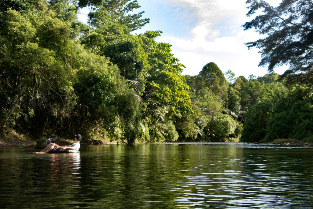 Activités à proximité